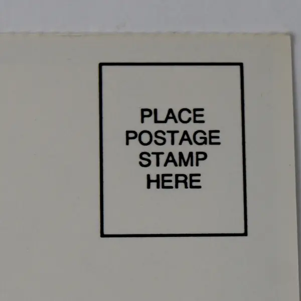 Lot of 8 Vintage Non-Topographical Pets Dogs Cats Postcards