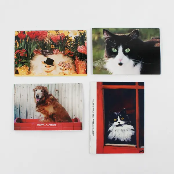 Lot of 4 North Shore Animal League Postcard Booklets 22 Cards Total