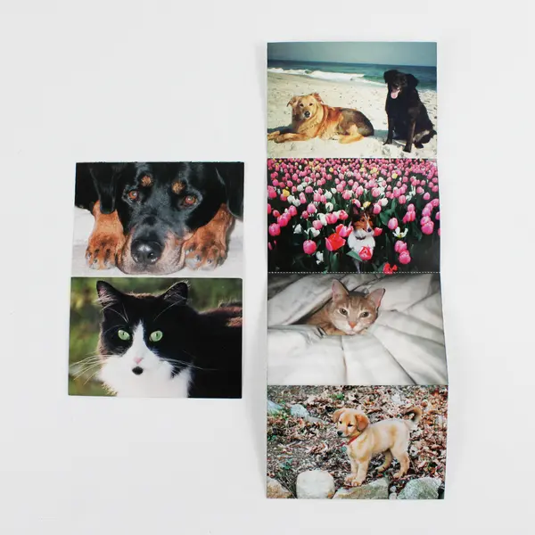 Lot of 4 North Shore Animal League Postcard Booklets 22 Cards Total