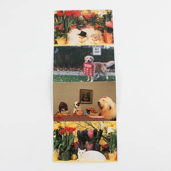 Lot of 4 North Shore Animal League Postcard Booklets 22 Cards Total