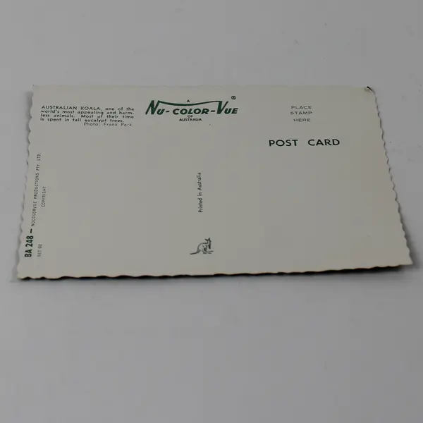 VTG Nu-Color-Vue of Australia Koala Postcard UNPOSTED