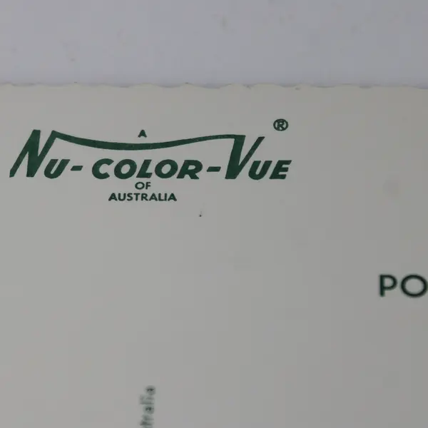 VTG Nu-Color-Vue of Australia Koala Postcard UNPOSTED