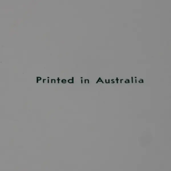 VTG Nu-Color-Vue of Australia Koala Postcard UNPOSTED