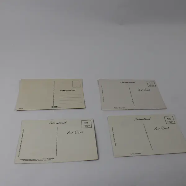 Lot of 4 Vintage North American Wildlife Postcards UNPOSTED