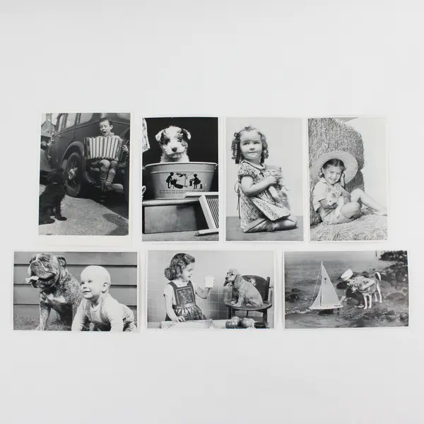 Lot of 7 Black & White VTG Photography Children with Animals Postcards UNPOSTED