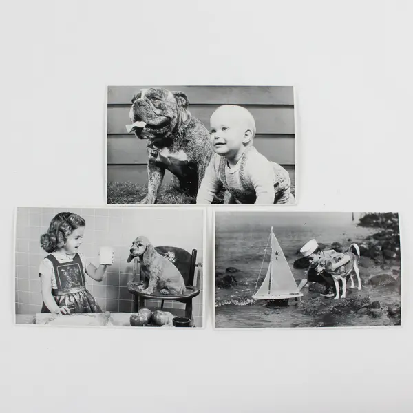 Lot of 7 Black & White VTG Photography Children with Animals Postcards UNPOSTED