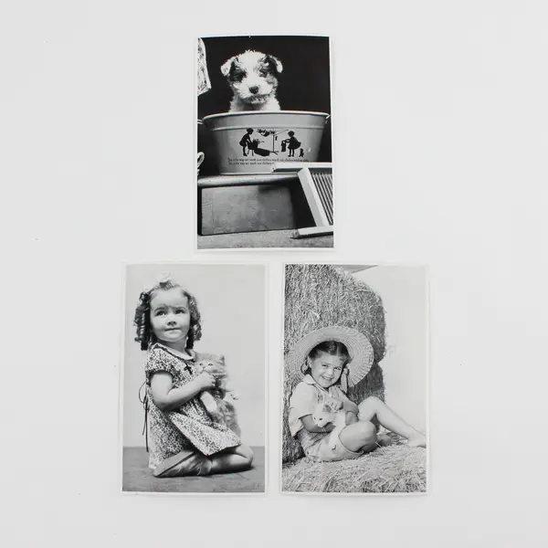 Lot of 7 Black & White VTG Photography Children with Animals Postcards UNPOSTED