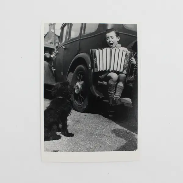 Lot of 7 Black & White VTG Photography Children with Animals Postcards UNPOSTED