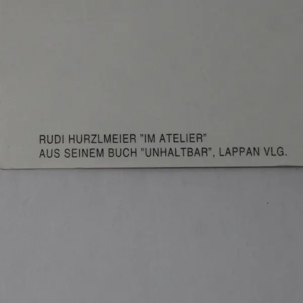 Lot of 5 Inkognito Engagement Picture by Rudi Hurzlmeier Postcards UNPOSTED