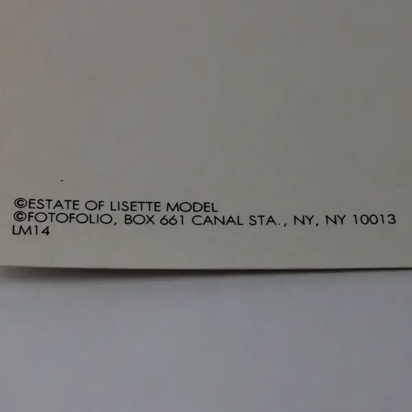 VTG Fotofolio Lisette Model Female Impersonators Postcard UNPOSTED