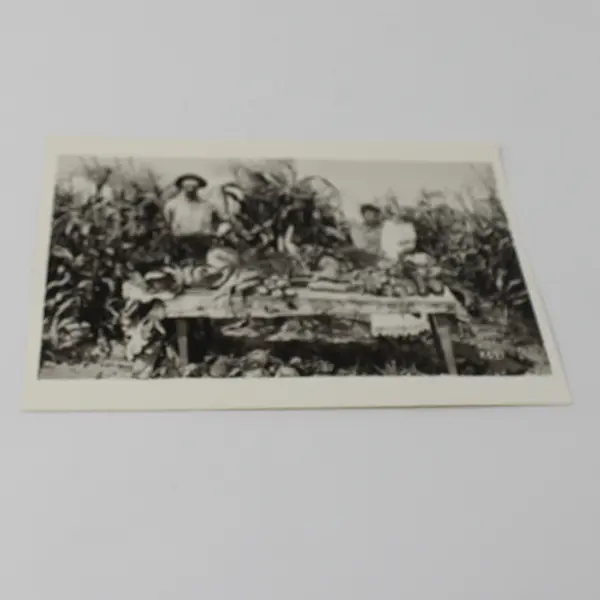 VTG Fotofolio Marinette WI Menomonee River Boom Co. Garden Postcard UNPOSTED