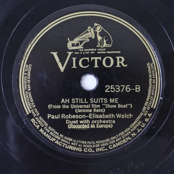 Lot of 10 Vinyl 10" Records LPs Party Decorations Crafts DIY Repurposing