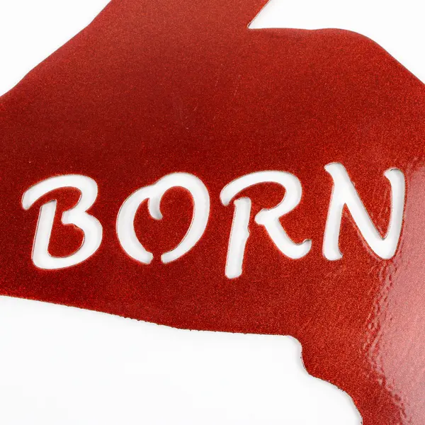 Unbranded Red Metal Wall Decor Upper Peninsula of Michigan "Born & Raised"