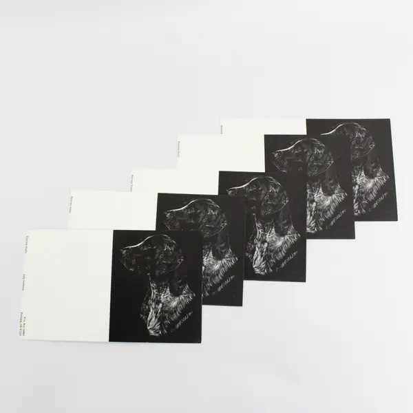 Lot of 9 Rimrock Studio German Pointer Dog Notecards Judy Jamieson Art