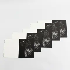 Lot of 9 Rimrock Studio German Pointer Dog Notecards Judy Jamieson Art