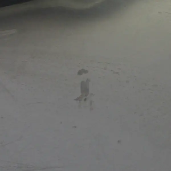 IKEA Vanda Blank Stainless Steel Round Mixing Bowl/Serving Bowl 14.5" Diameter