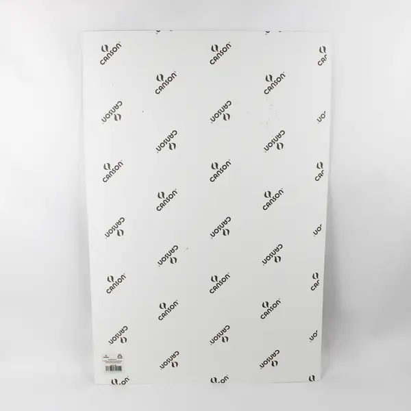 Canson Bigfoot Cryptid Wall Art Print Board 30x20