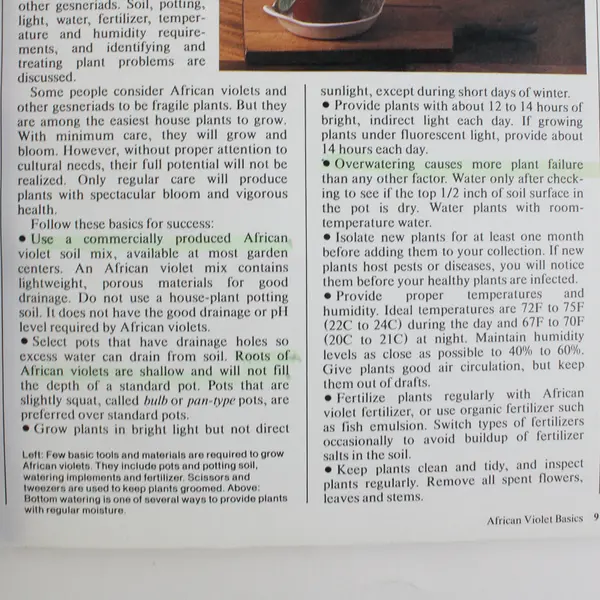 Vintage How to Select & Grow African Violets  Theodore James Jr 1983 Paperback