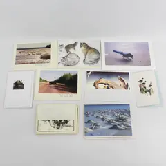 Lot of 16 Animal and Wildlife Themed Notecards with Envelopes