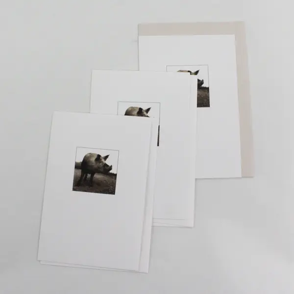 Lot of 16 Animal and Wildlife Themed Notecards with Envelopes