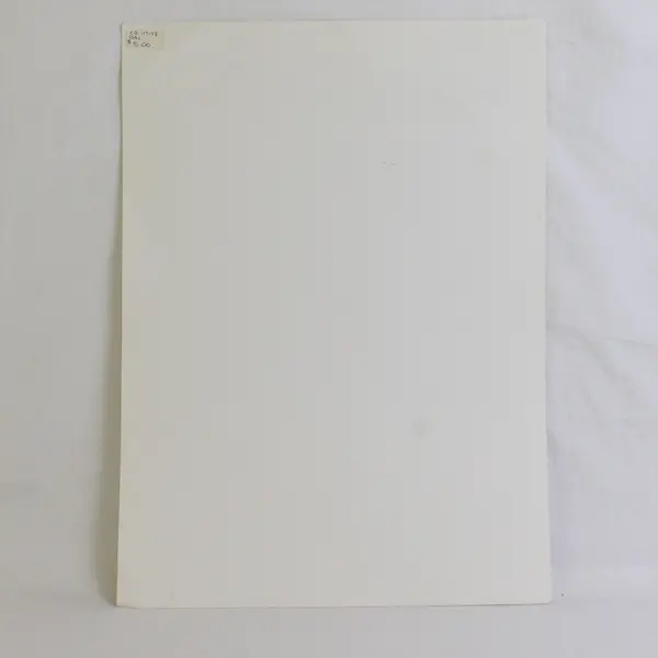 1998 Durango Main Avenue Arts Festival Poster Colorado 5th Annual