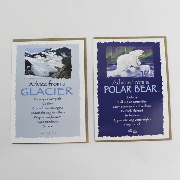 Lot of 4 Advice For Life Greeting Cards with Envelopes Penguin Turtle Polar Bear