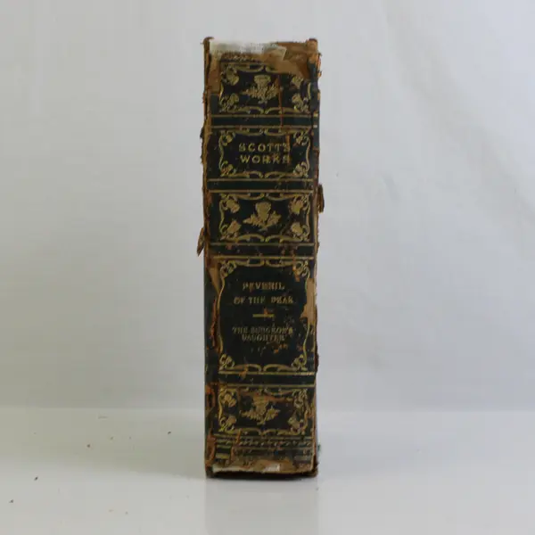 Antique Edition De Luxe Volume 12 The Waverley Novels Sir Walter Scott 1893 HC