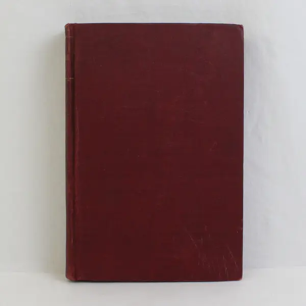 Antique The Owl's Nest by E Marlitt 1888 Hardcover Novel