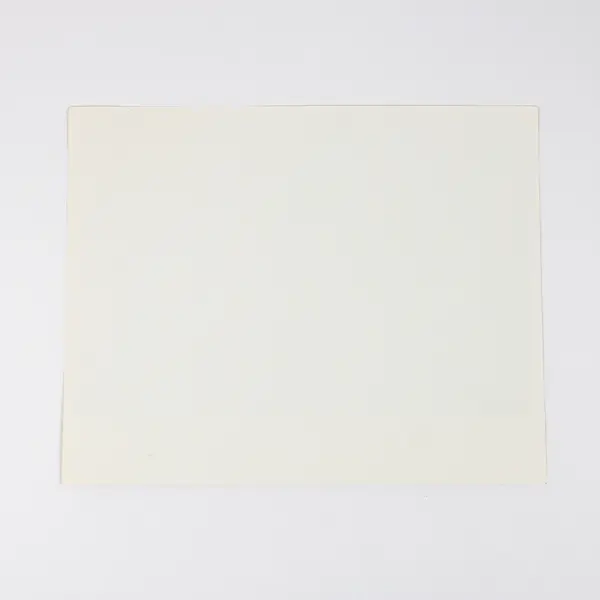 1989 President George H.W. Bush Inauguration Official Photo 8X10