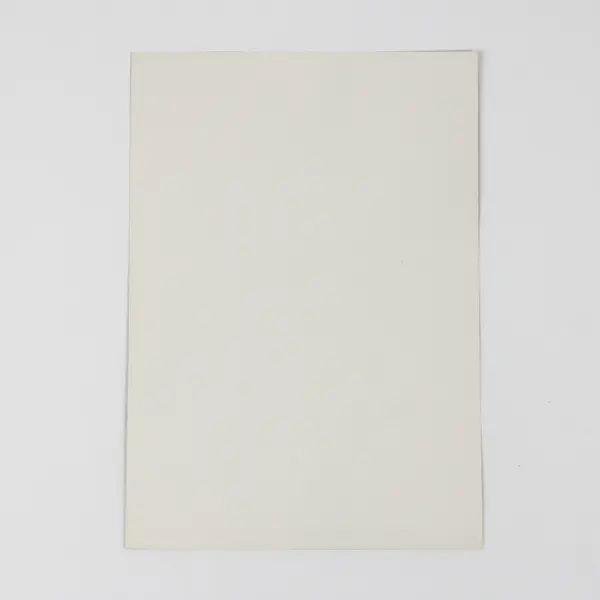 President George H.W. Bush First Lady Barbara Bush 5X7 Portrait BW Photo 