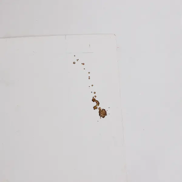 Vintage Adler Stopwatch Art Painting On Paper Steven Adler