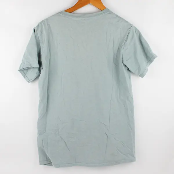 Billie Eilish Adult S Happier Than Ever Sage Green Album Graphic Tee