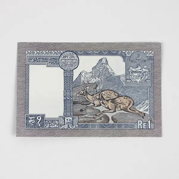 Nepal 1 Rupee Banknote King Birendra Bill Note 1974 Series Uncirculated