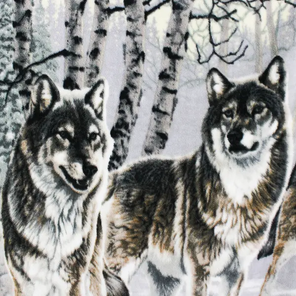 The Northwest Company Al Agnew Wolf Printed Throw Blanket 53" x 61"