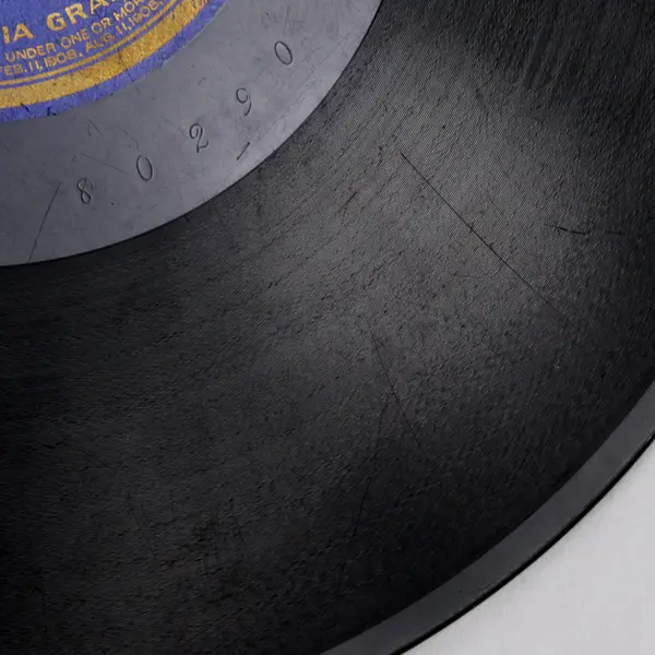 Ray Miller Orch. Stumbling/Who Tied the Can on the Old Dog's Tail Columbia 3611