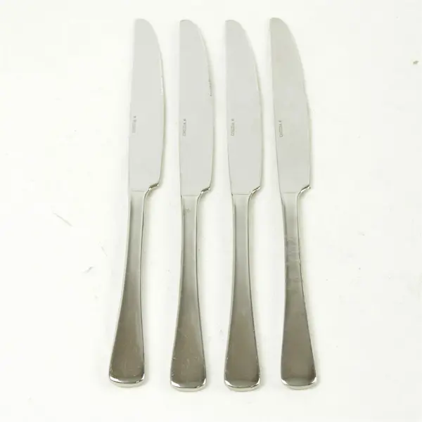 Set of 4 Oneida Caswell Stainless Solid Dinner Knives - Used