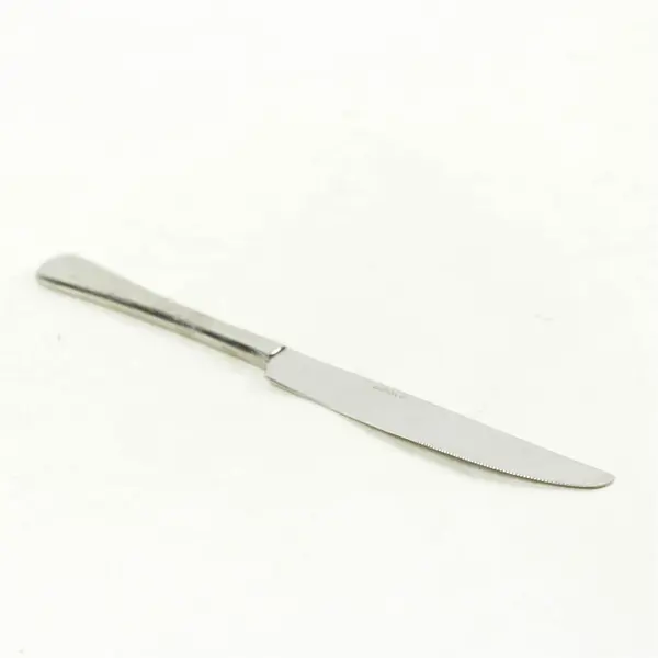 Set of 4 Oneida Caswell Stainless Solid Dinner Knives - Used