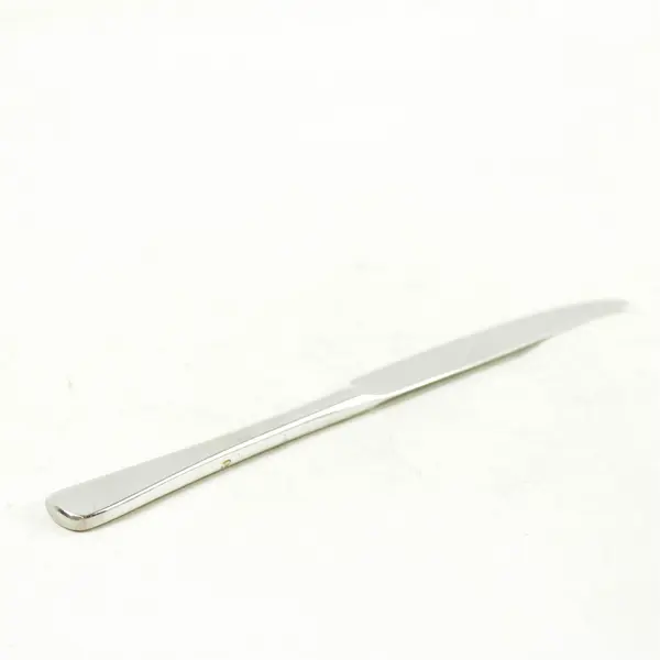 Set of 4 Oneida Caswell Stainless Solid Dinner Knives - Used