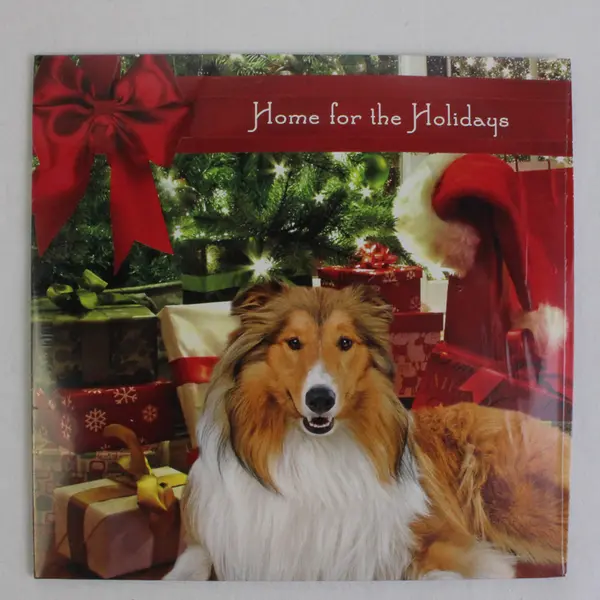Home for the Holidays Christmas Compilation CD SPCAI