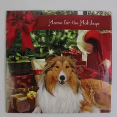 Home for the Holidays Christmas Compilation CD SPCAI