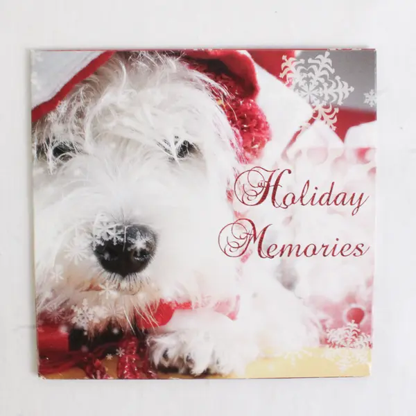 Holiday Memories by Various Artists CD SPCAI