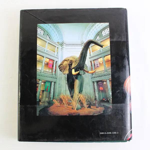 National Museum of Natural History by Philip Kopper 1982 Hardcover 1st Edition