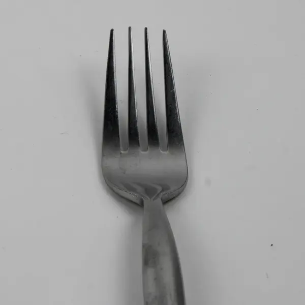 Lot of 2 Washington Forge Northern Sea Pattern SS Dinner Forks 8" Rare