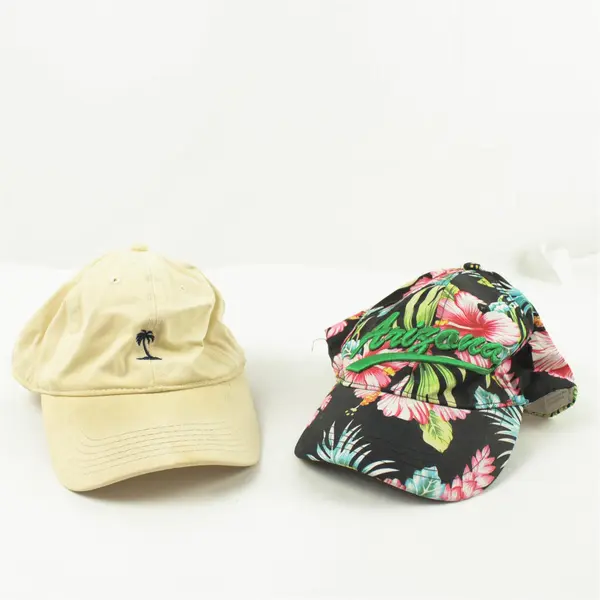 Lot of 2 Adjustable Baseball Caps Tropical Arizona & Beige W/Palm Tree