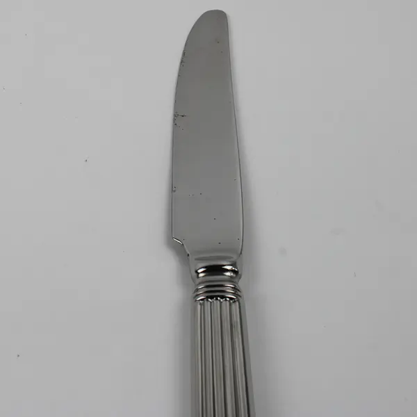 Lot of 4 Wallace Silver Chardonnay Pattern 18/10 SS Dinner Knives 9.5" Good