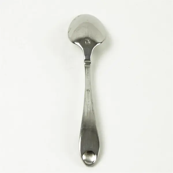 Oneida Satin Garnet Stainless Place/Oval Soup Spoon