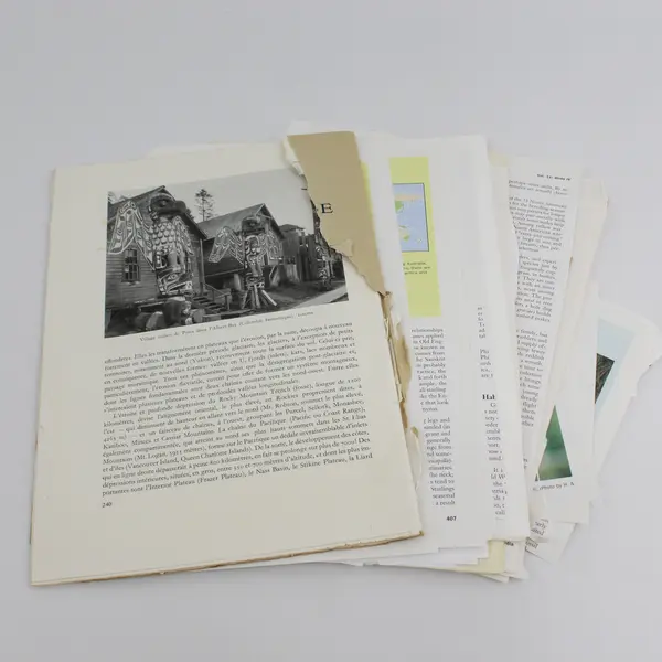 Lot Of Vintage Paper Ephemera Book Pages Illustrations Junk Journal Collage 