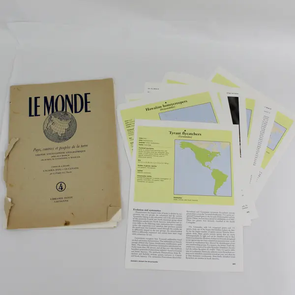 Lot Of Vintage Paper Ephemera Book Pages Illustrations Junk Journal Collage 