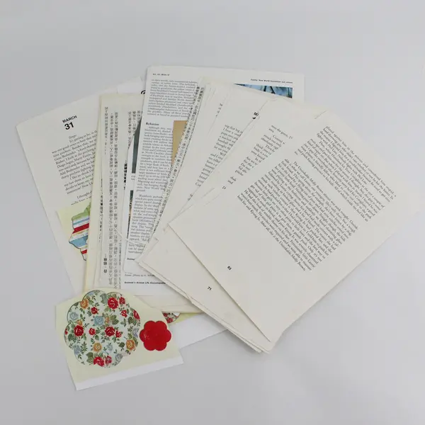 Lot Of Vintage Paper Ephemera Book Pages Illustrations Junk Journal Collage 