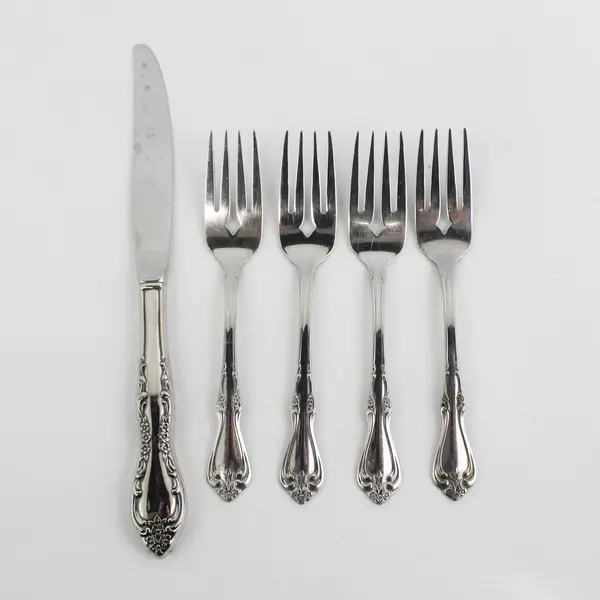 Lot of 5 Oneida Bourbon Stainless 4 Salad Forks &  A Modern Hollow Knife
